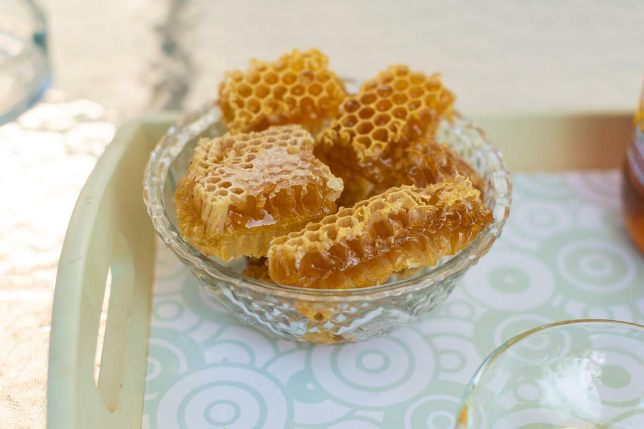 Honey Farm House Virpazar Exterior photo