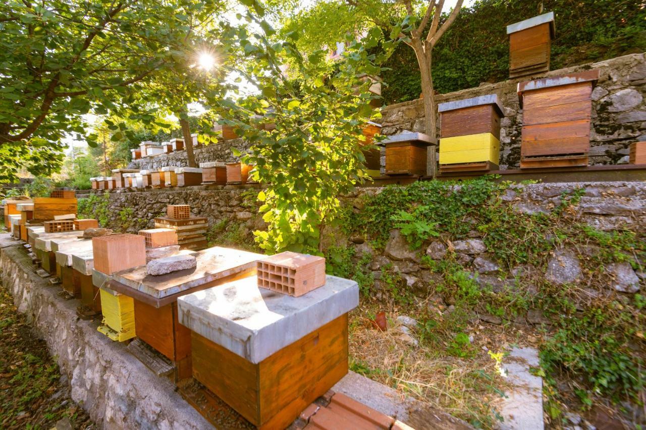 Honey Farm House Virpazar Exterior photo