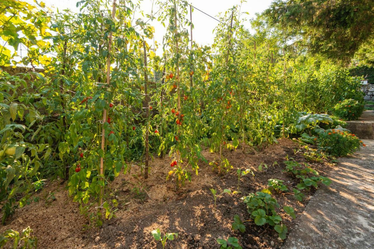 Honey Farm House Virpazar Exterior photo